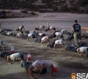 Sealfit-Kokoro-More-Push-Ups